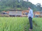 nurdin-sawah-anambas_20180318_180131.jpg