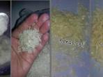 perbedaan-beras-plastik-dan-beras-asli_20150520_152015.jpg