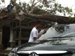 pohon-tumbang-di-rumah-dinas_20160505_142440.jpg