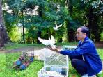 presiden-lepas-burung_20160103_182700.jpg