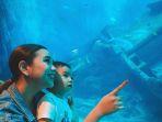 sea-aquarium-marine-life-park.jpg