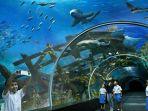 sea-aquarium.jpg