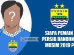 siapa-pemain-persib-bandung-musim-liga-1-2019.jpg