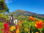 silancur-highland-kabupaten-magelang-jawa-tengah.jpg