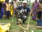 ular-king-cobra-muntahkan-telur.jpg