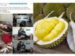 viral-pria-makan-durian-mati.jpg