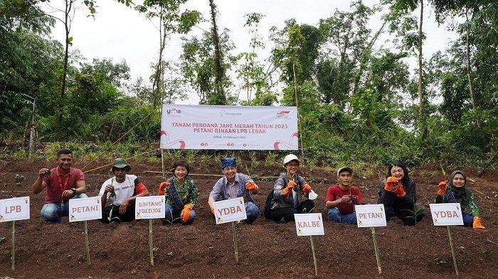 Kembangkan Petani Hingga UMKM, Astra Melalui YDBA Berkolaborasi dengan PT Bintang Toedjoe