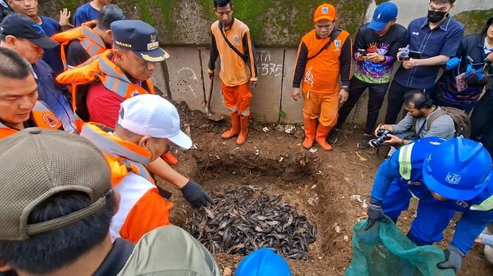 TANGKAP SAPU SAPU- Wali Kota Administrasi Jakarta Timur, Munjirin Rasyid (Mengenakan topi hitam) saat melakukan penguburan ikan sapu-sapu hasil penangkapan di Perairan Dermaga Eco Edu Wisata Ciliwung, Kecamatan Kramat Jati, pada Jumat (17/4/2026) pagi. (Wartakotalive.com/RendyRutamaPutra).