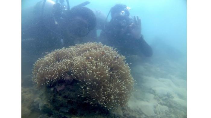 Kelompok Nelayan, Pandu Alam Sendulang pantau terumbu karang