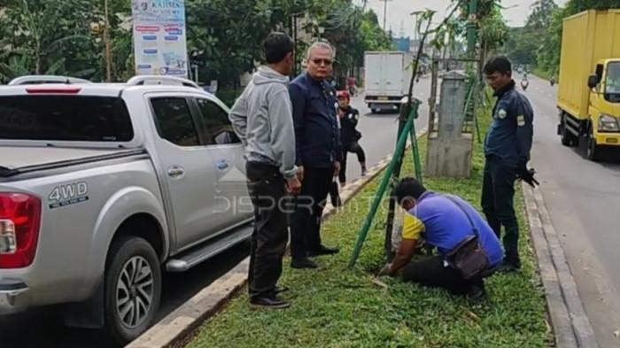 Disperkimtan Kabupaten Bekasi Rutin Pemeliharaan Taman Median Jalan
