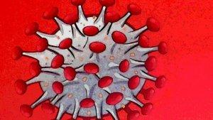 Foto-Ilustrasi-virus-coronaCovid-19.jpg