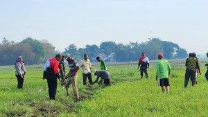 Petani-Cibitung-berburu-tikus.jpg