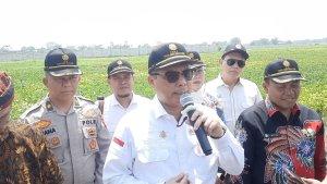 Wamentan-hadiri-panen-raya.jpg