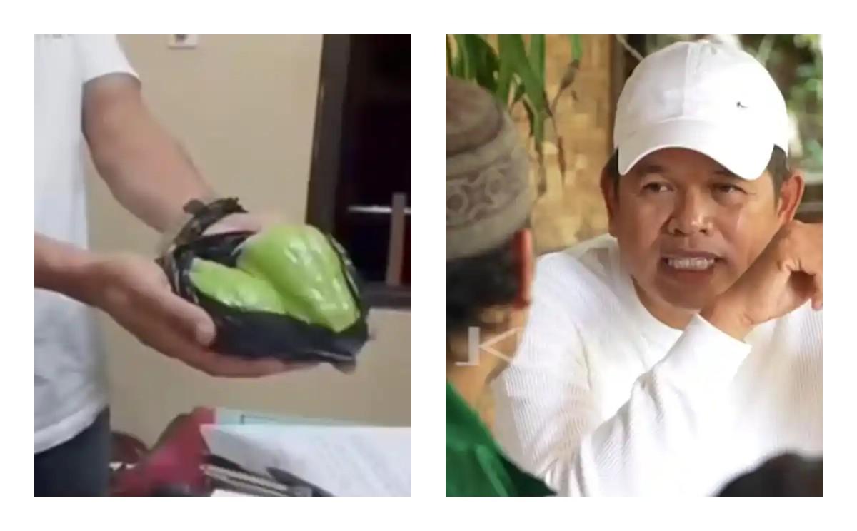 Labu-siam2.jpg