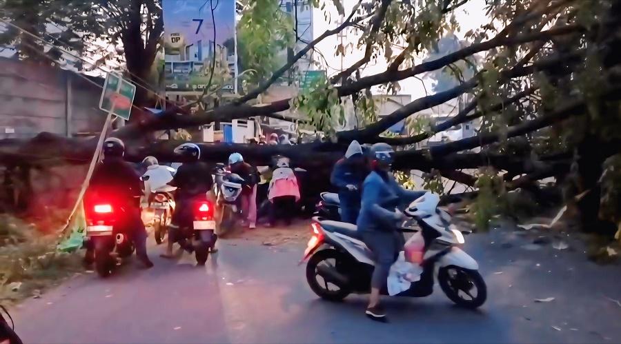 Pohon-tumbang-di-Kaliabang-Tengah.jpg
