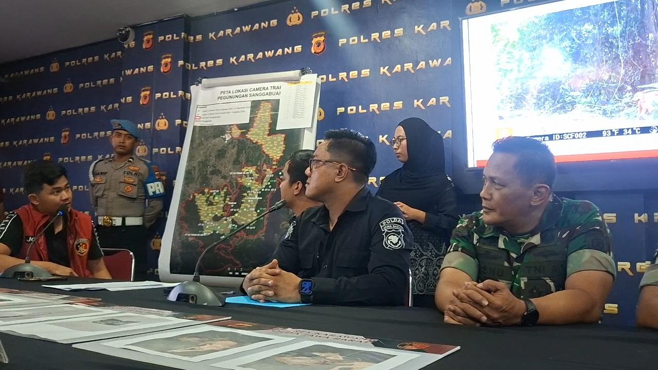 Polisi Tangkap 5 Terduga Pemburu Macan Tutul Jawa di Gunung Sanggabuana Karawang