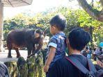 Atraksi-gajah-di-RM-Ragunan-3-Mei-2022.jpg