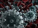 Foto-Ilustrasi-virus-corona-atau-Covid-19.jpg