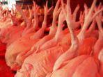 Foto-daging-ayam.jpg
