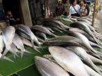 Ikan-bandeng.jpg