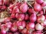 Ilustrasi-bawang-merah.jpg