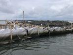 Pagar-laut-14-Jan.jpg