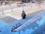 Pencurian-dompet-di-masjid-di-jaksel.jpg