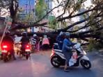 Pohon-tumbang-di-Kaliabang-Tengah.jpg