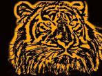 Tahun-Macan.jpg