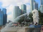 Paket Misterius Gegerkan Masjid Singapura, Isinya Diduga Daging Babi