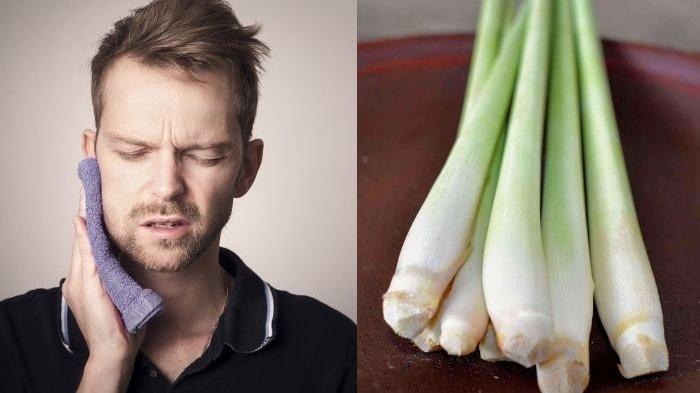 6 Obat Tradisional Sederhana Ampuh Atasi Sakit Gigi, Bisa Gunakan Air Rebusan Serai