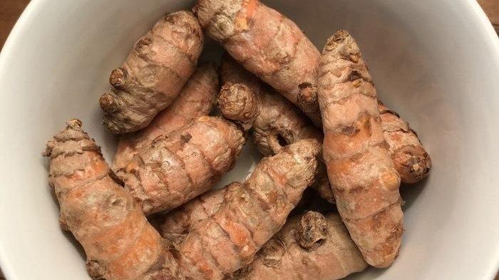 Kunyit dan Biji Ketumbar Ternyata Bisa Jadi Obat Tradisional Atasi Maag Kronis