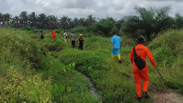 Bocah Hilang di Kebun Sawit di Bangka Barat, Keberadaan Masih Misteri hingga Muncul Isu Penculikan