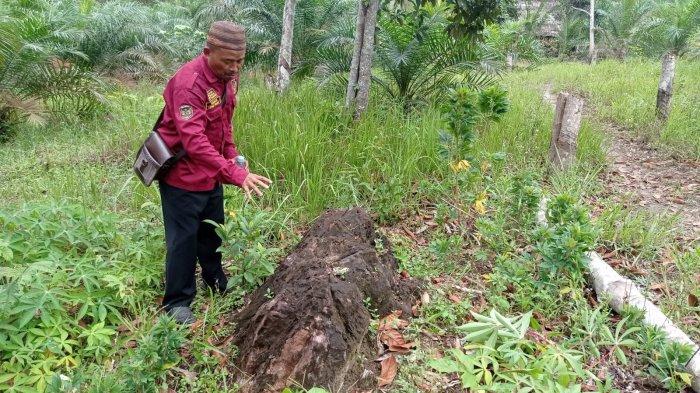 Menelusuri Jejak Syekh Cermin Jati Penyebar Islam di Bangka, Berpindah dari Mapur ke Tiang Tara