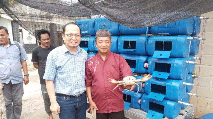Budidaya Kepiting Bakau Crab Box Apartment Mulai Dilirik Warga Bateng, Algafry: Solusi saat Paceklik