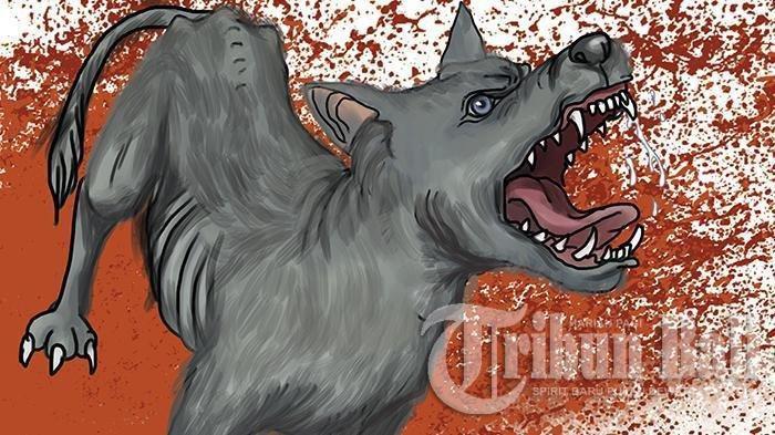 Pemkab Bangka Selatan Gencarkan Vaksinasi Massal, Antisipasi Penyebaran Rabies