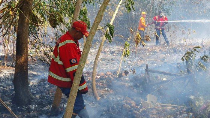 Kemarau Panjang, BPBD Belitung Catat Jumlah Karhutla Capai 114 Sepanjang September 2023