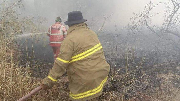 Kasus Karhutla di Kabupaten Belitung Meningkat, BPBD Aktifkan Regu Damkar yang Off