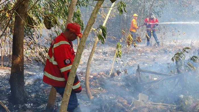 Prediksi BMKG Potensi Hujan Lebat dan Angin Kencang Hari Ini, 4 Wilayah Ada di Sumatera