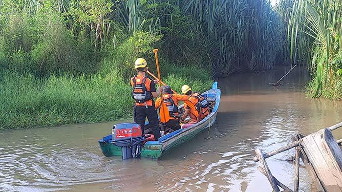 20250803 Orang Hilang Diterkam Buaya