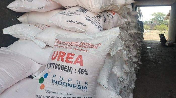 Harga Pupuk Subsidi Turun 20 Persen, Berikut Daftar Harga Urea, NPK hingga ZA di Bangka Selatan