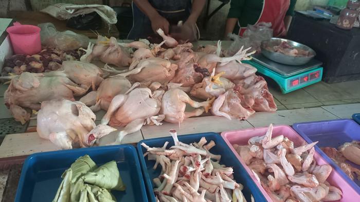 Kebutuhan Ayam di Belitung Timur Terus Meningkat, Oktober 2025 Capai 216 Ton