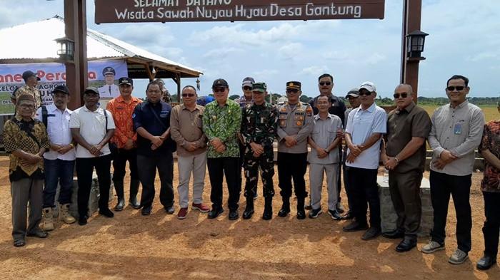 ​SIMBOLIS - Bupati Belitung Timur, Kamarudin Muten (Afa) didampingi unsur pimpinan daerah dan tamu undangan melakukan pemotongan padi secara simbolis pada acara Panen Perdana Agrowisata Keretak Sawah Nujau Hijau, Desa Gantung, Kamis (26/3/2026). Selain mengapresiasi keberhasilan panen di lahan seluas 1,8 hektar tersebut, Bupati juga berkomitmen untuk memprioritaskan perbaikan akses jalan tanah merah menuju persawahan guna mendukung mobilitas petani.
