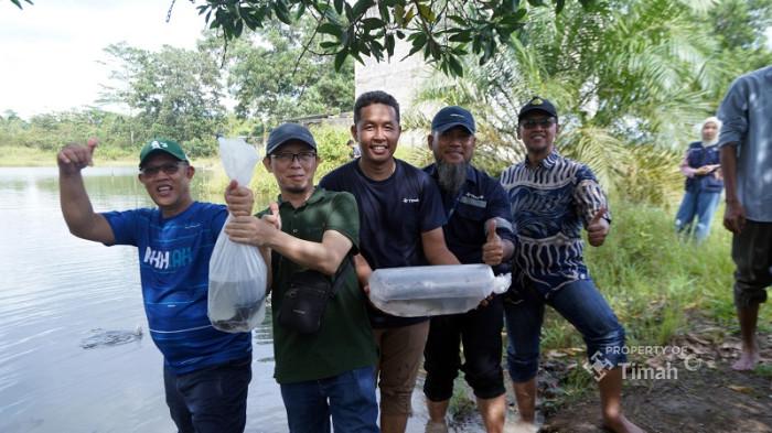 PT Timah Tbk Rehabilitasi Lingkungan dengan Tebar Bibit Ikan Endemik di Kolong Eks Tambang