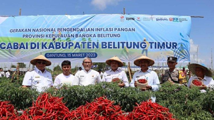 Kelompok Tani Bina Tani Gantung Paling Produktif, Minta Kawasan Kebun Cabai Dialiri Listrik