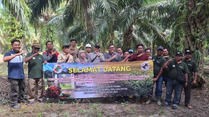 Verifikasi lahan untuk pengajuan dukungan sarana dan prasarana Koperasi Sawit Sejahtera Bersama oleh Direktorat Jenderal Perkebunan