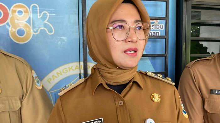 Wakil Wali Kota Pangkalpinang, Dessy Ayutrisna
