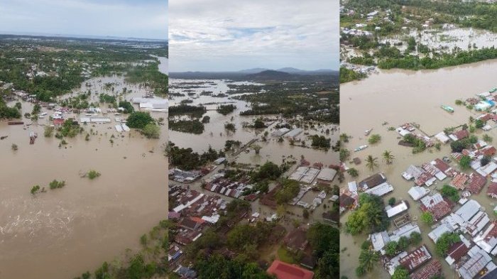 53 Sapi Milik Kelompok Peternak di Buding Beltim Hanyut, 14 Sudah Ketemu di Dekat Laut Selindang