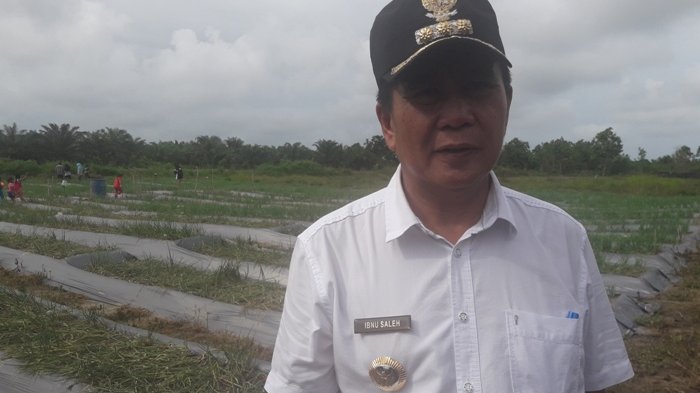 Update Covid-19, Bupati Bateng Sekeluarga dan ART Positif Corona, Ajudannya Ikut Terinfeksi