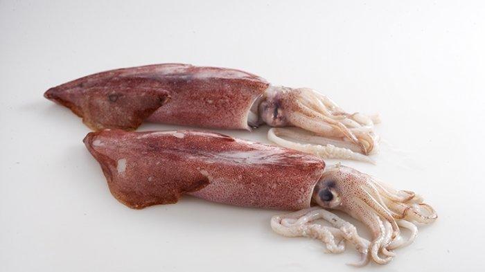 120 Nelayan di Bangka Tengah Pakai Sidolpin Cumi untuk Deteksi Posisi Cumi di Laut